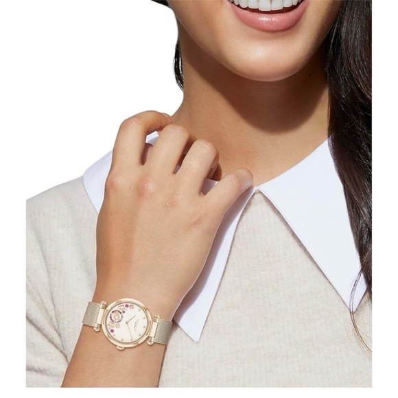 Coach Accessories - Authentic Coach Cary Rose Gold Mesh Band Watch